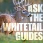 Ask The Whitetail Guides by J.Y. Jones