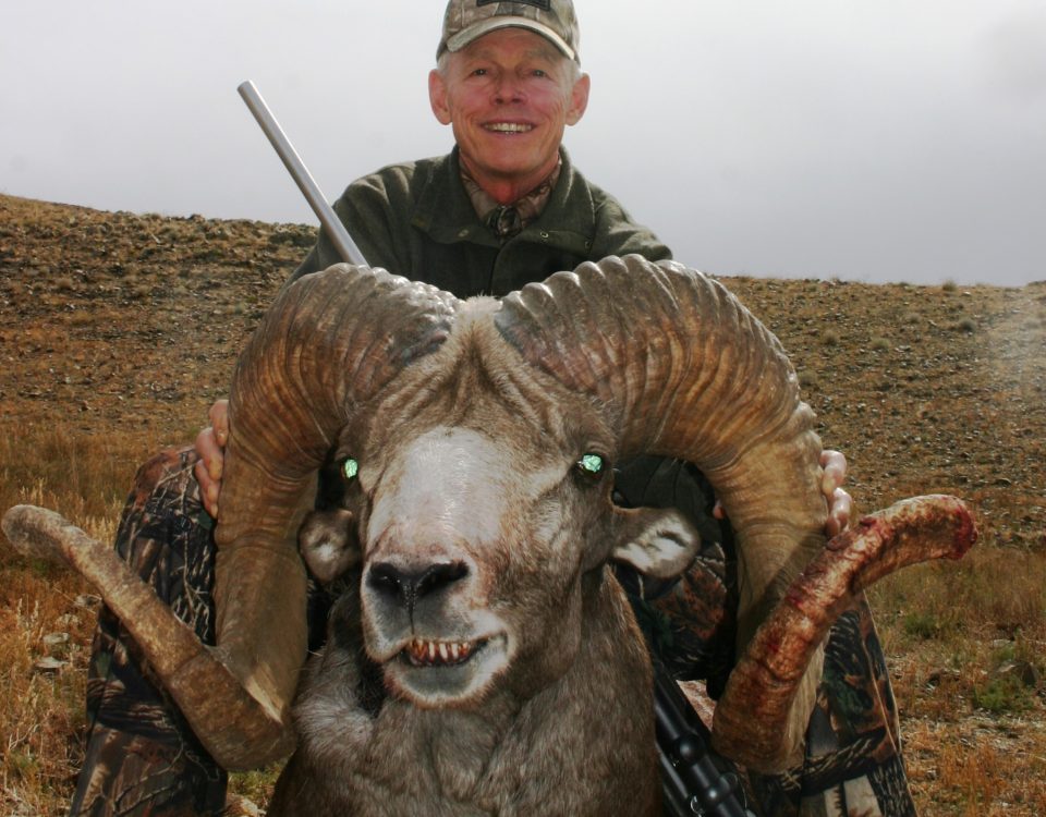 Hangai argali taken during Mongolian Hunting trip with J.Y. Jones